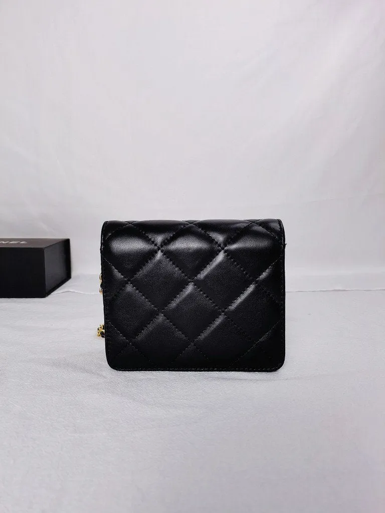 Designer Handbags CL 233